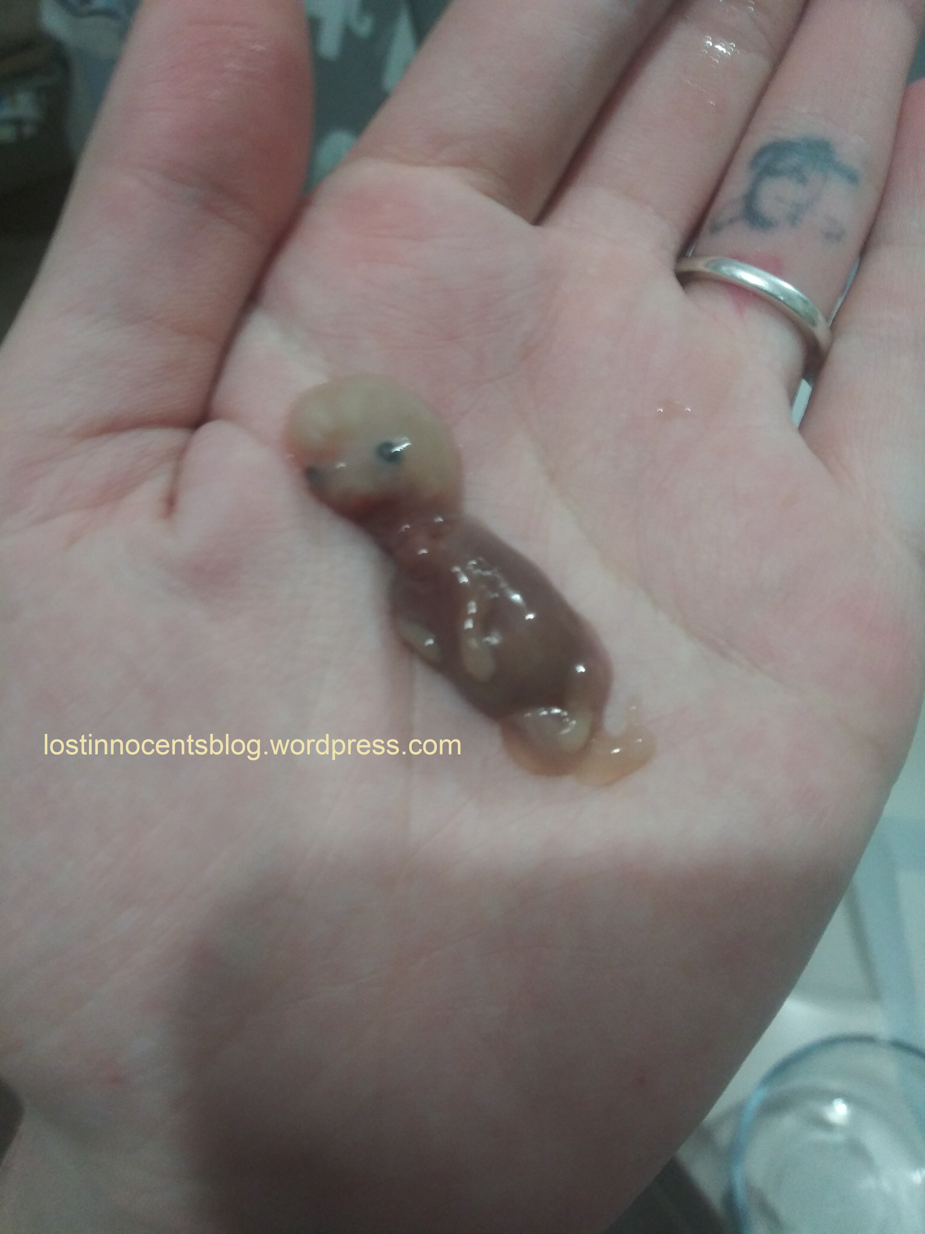 Heavenly's twins - Arrow 11 weeks 1 WM